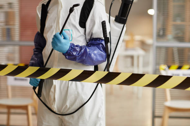 Professional Sewage Cleanup technician working in Pine Grove, PA